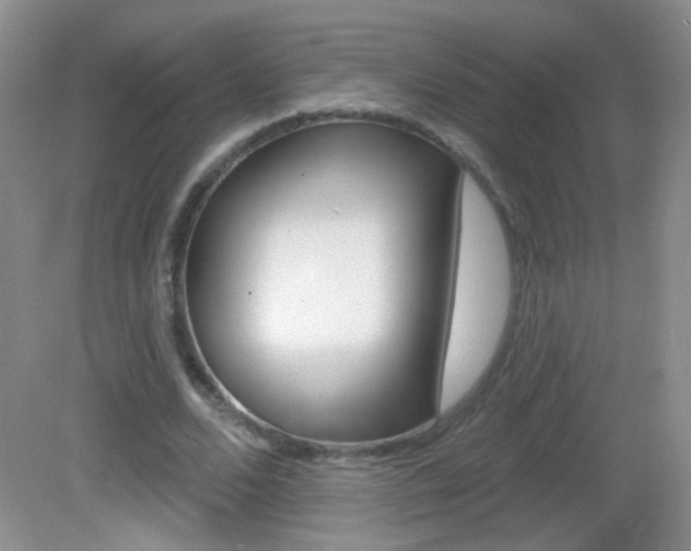 X0000082930680200702011047