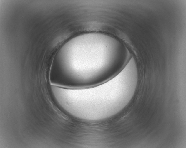X0000082930681200702011047