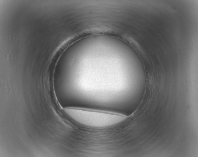 X0000082930684200702011047