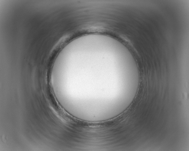 X0000082930686200702011046