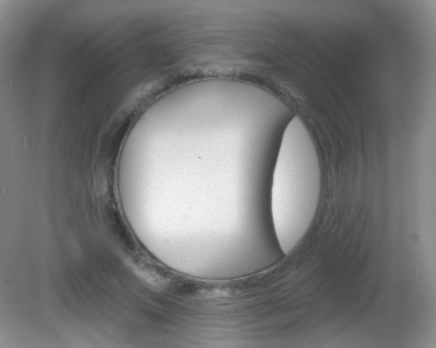 X0000082930687200702011046