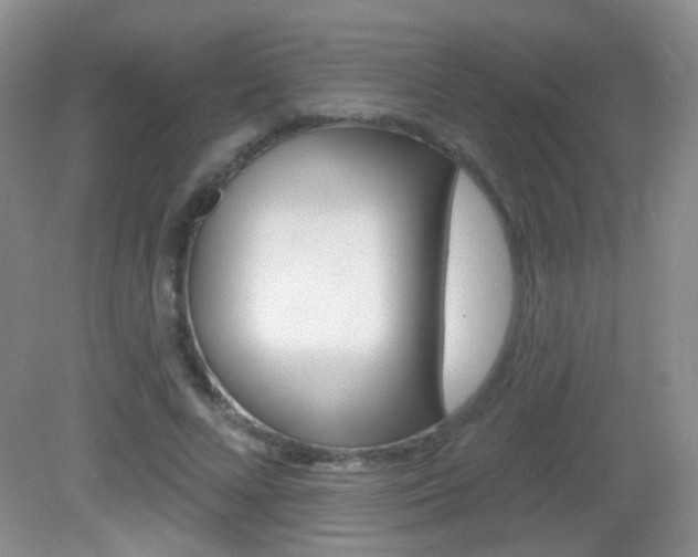 X0000082930688200702011046