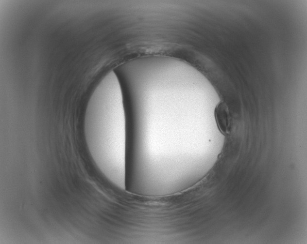 X0000082930691200702011046