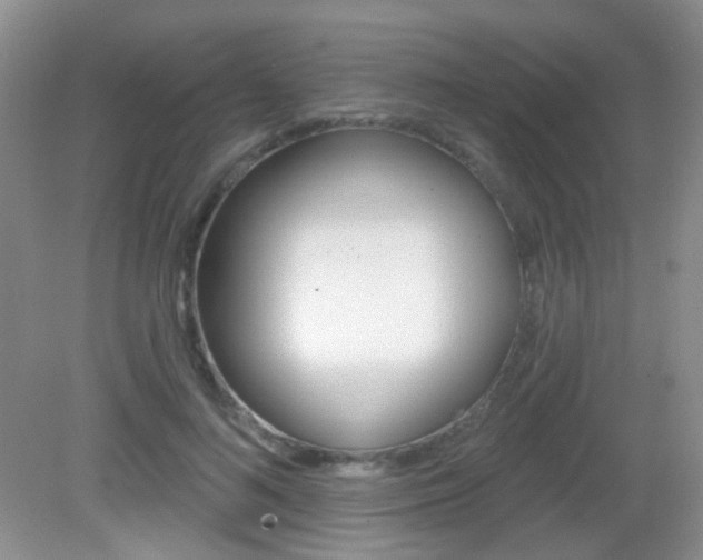 X0000082930692200702011046