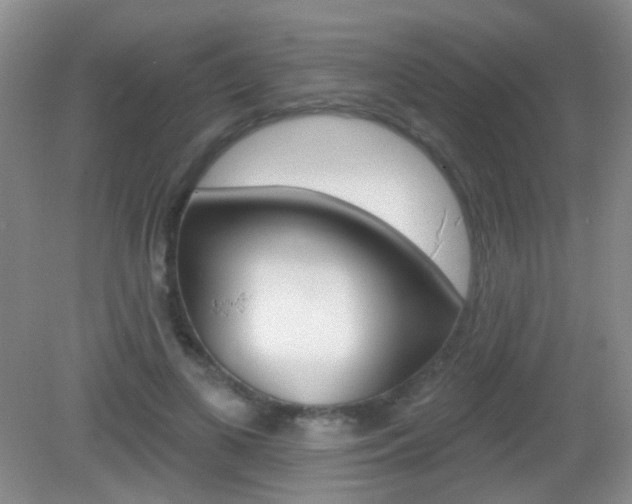 X0000082930693200702011046