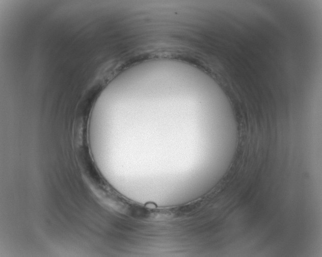 X0000082930694200702011046