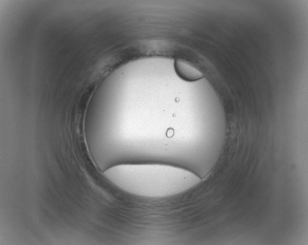 X0000082930695200702011046
