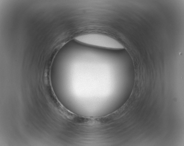 X0000082930696200702011046
