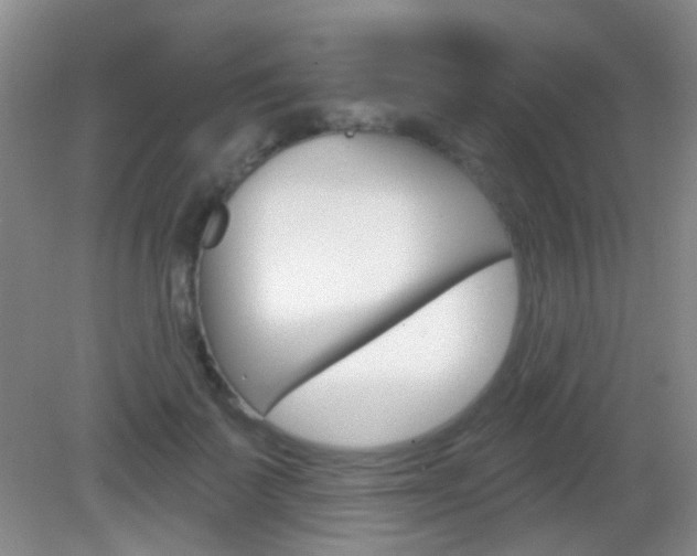 X0000082930699200702011046