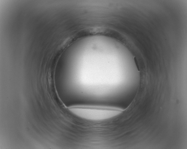X0000082930700200702011046
