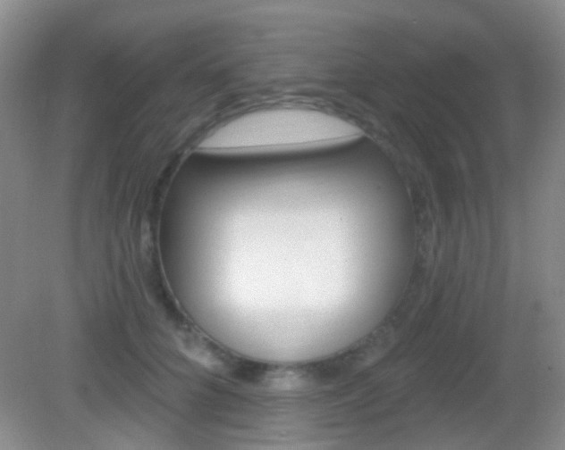 X0000082930704200702011046