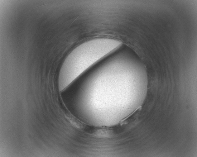 X0000082930708200702011046
