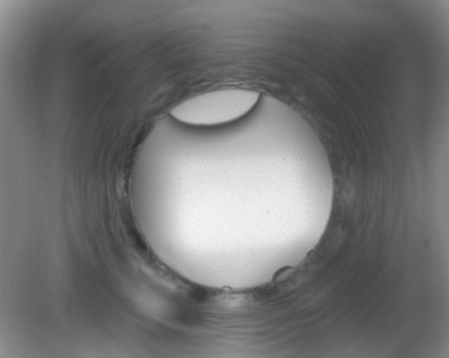 X0000082930711200702011046