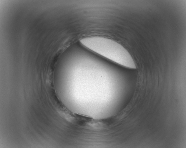 X0000082930712200702011046