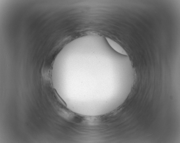 X0000082930713200702011046
