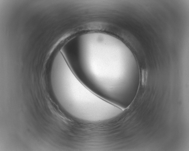 X0000082930723200702011045