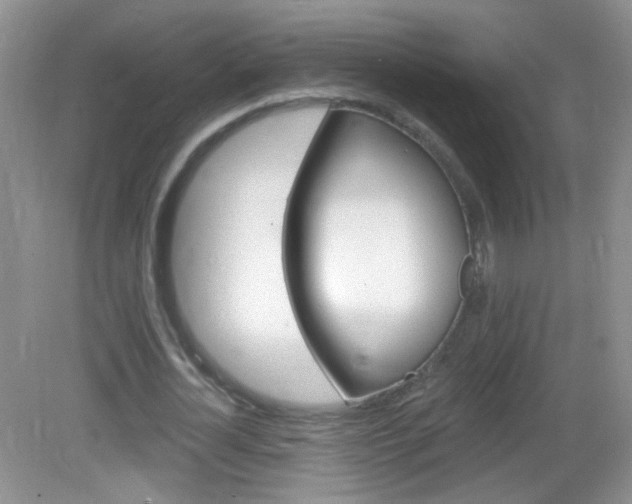 X0000082930724200702011045