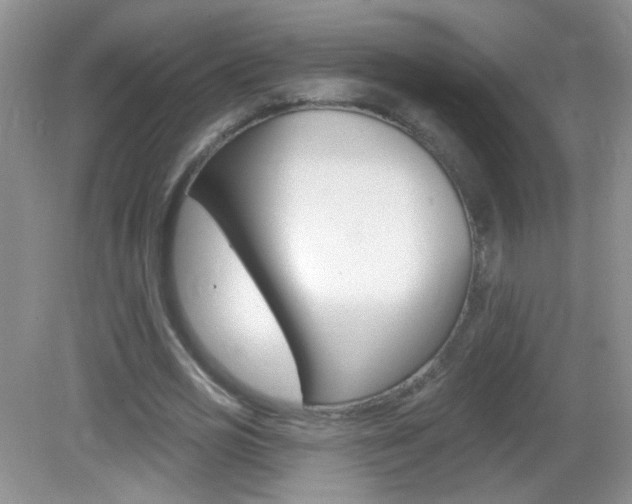 X0000082930725200702011045