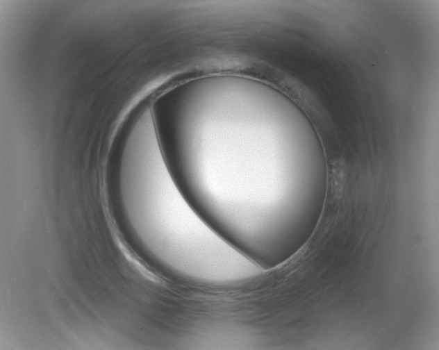 X0000082930726200702011045