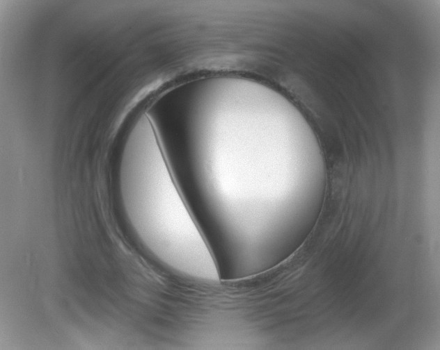 X0000082930727200702011045