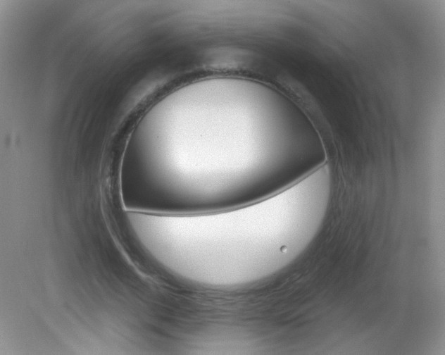 X0000082930728200702011045