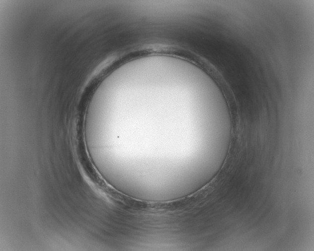 X0000082930730200702011045