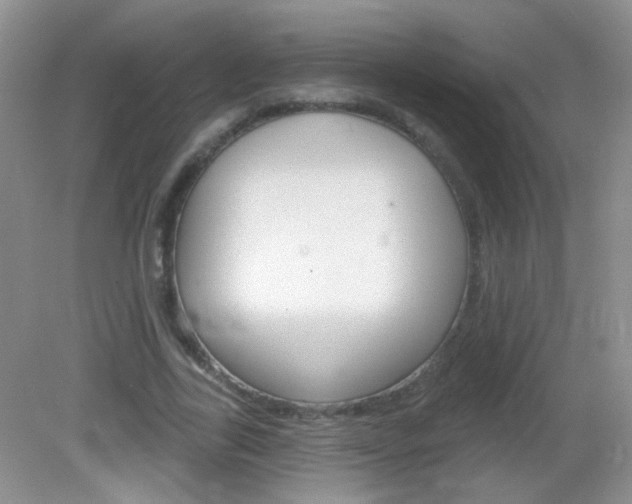 X0000082930731200702011045