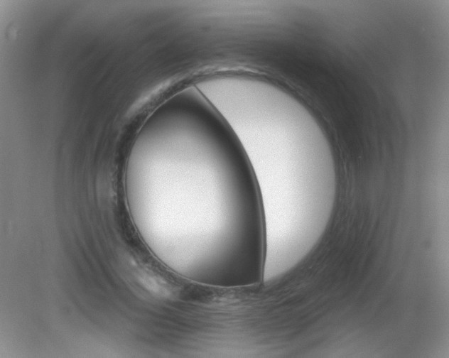 X0000082930732200702011045