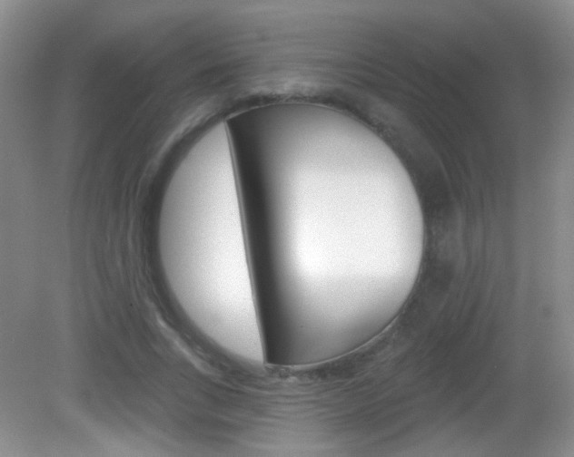 X0000082930735200702011045