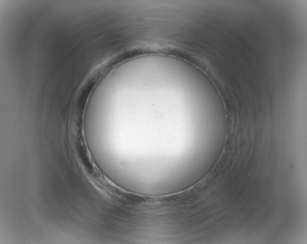 X0000082930736200702011045