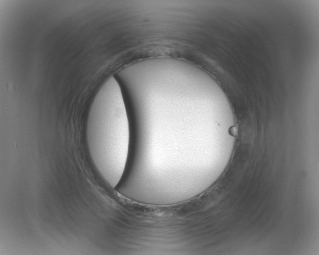 X0000082930737200702011045