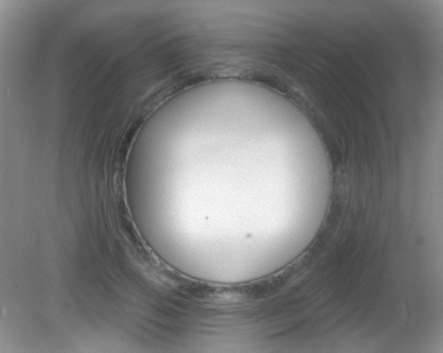 X0000082930741200702011045