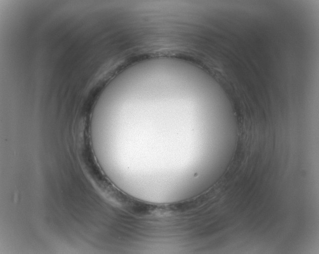 X0000082930742200702011045