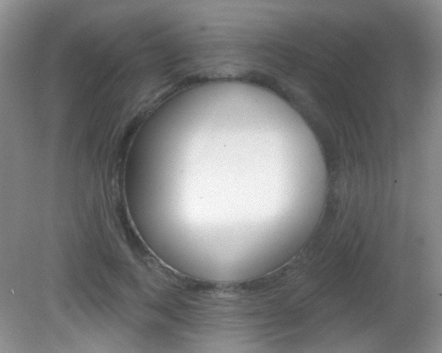 X0000082930743200702011045