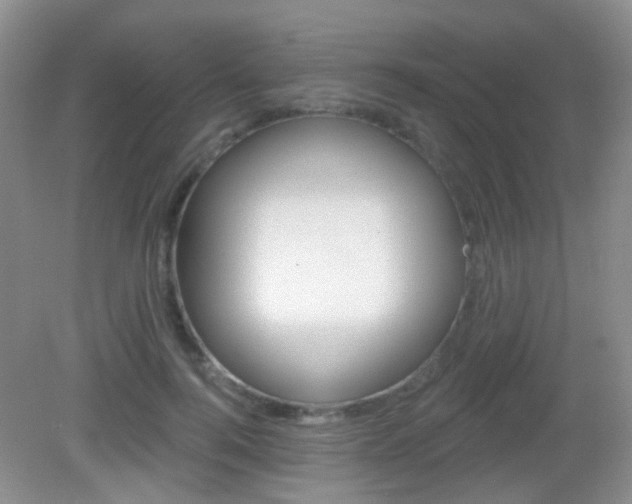 X0000082930744200702011045
