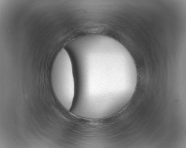 X0000082930745200702011046