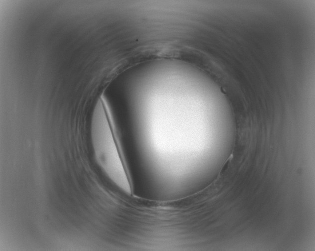 X0000082930748200702011046