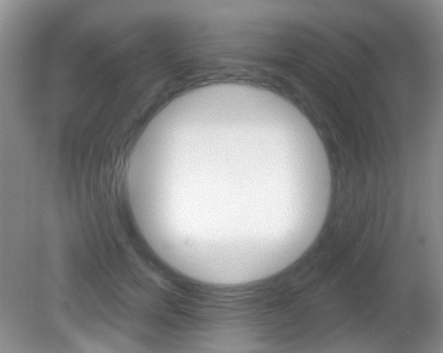 X0000082930750200702011046