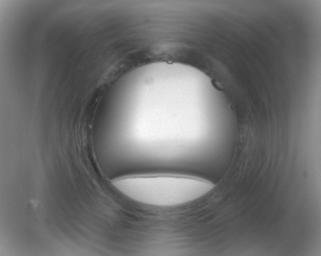 X0000082930751200702011046
