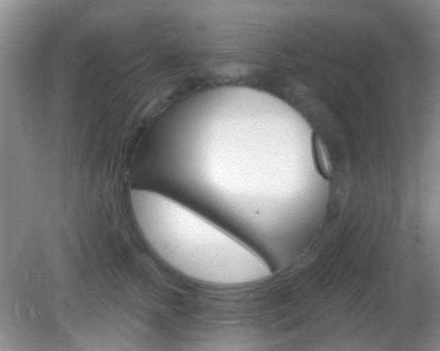 X0000082930758200702011046