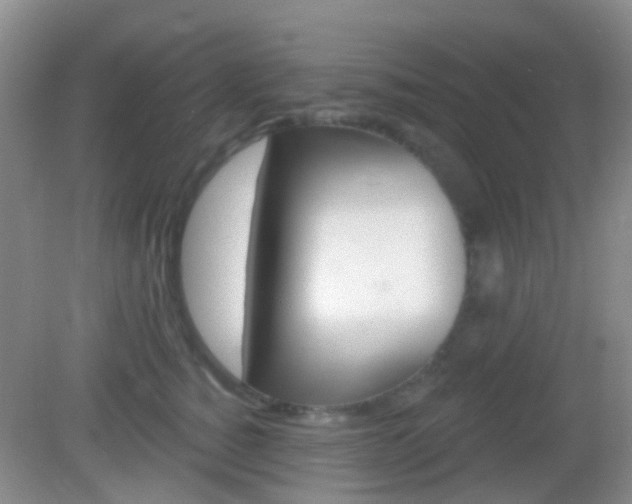 X0000082930760200702011046