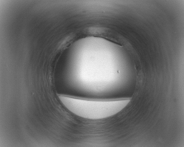X0000082930762200702011046