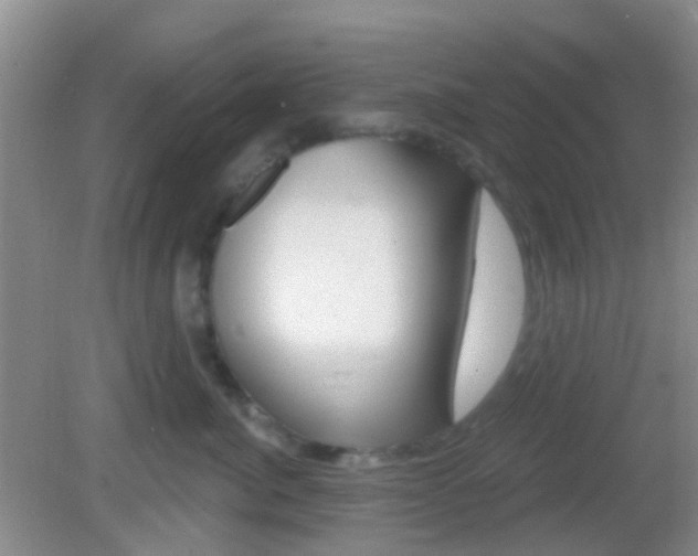 X0000082930764200702011046