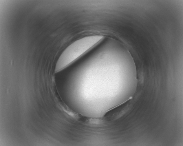 X0000082930766200702011046
