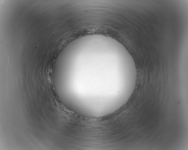 X0000082930770200702011045