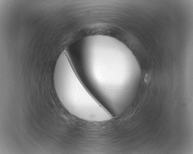 X0000082930771200702011045