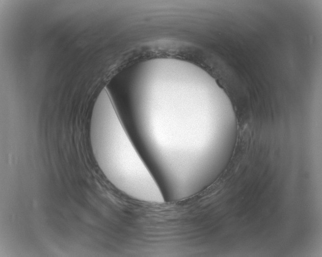 X0000082930772200702011045