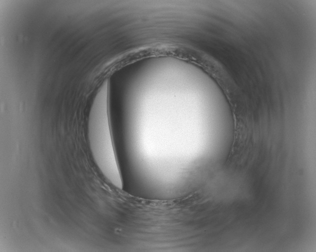 X0000082930773200702011045