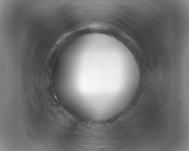 X0000082930776200702011045