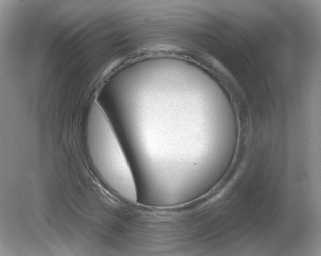 X0000082930777200702011045